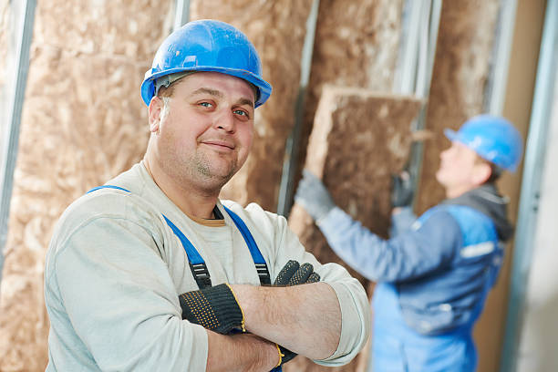 Best Insulation Replacement Services  in South Miami Heights, FL